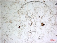 登錄號:A00004650藏品圖，第2張