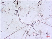 登錄號:A00004650藏品圖，第8張