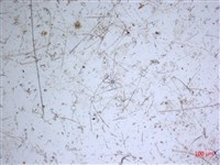 登錄號:A00004651藏品圖，第2張