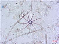 登錄號:A00004651藏品圖，第3張