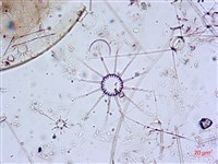 登錄號:A00004651藏品圖，第4張