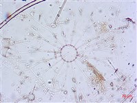 登錄號:A00004651藏品圖，第5張