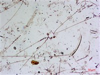登錄號:A00004651藏品圖，第8張