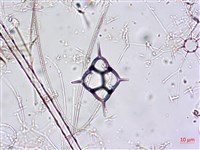 登錄號:A00004651藏品圖，第9張