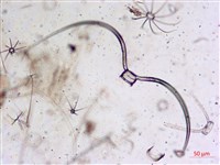 登錄號:A00004652藏品圖，第4張