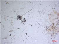 登錄號:A00004653藏品圖，第2張