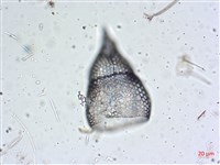 登錄號:A00004653藏品圖，第4張