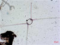 登錄號:A00004653藏品圖，第15張
