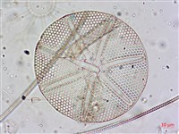 登錄號:A00004653藏品圖，第20張