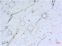 登錄號:A00004653藏品圖，第22張