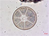 登錄號:A00004654藏品圖，第3張