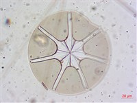 登錄號:A00004654藏品圖，第4張