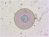 登錄號:A00004654藏品圖，第6張