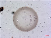 登錄號:A00004654藏品圖，第8張