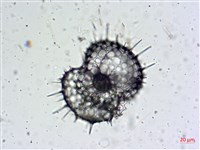 登錄號:A00004654藏品圖，第15張
