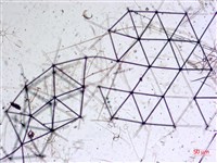 登錄號:A00004654藏品圖，第19張