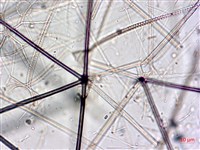 登錄號:A00004654藏品圖，第20張