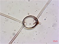 登錄號:A00004655藏品圖，第3張