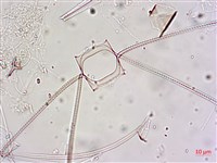 登錄號:A00004655藏品圖，第4張
