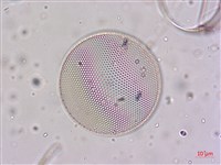 登錄號:A00004655藏品圖，第7張