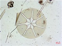 登錄號:A00004656藏品圖，第15張