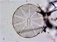 登錄號:A00004656藏品圖，第16張