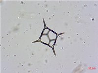 登錄號:A00004656藏品圖，第21張