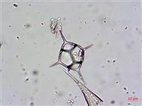 登錄號:A00004656藏品圖，第22張