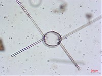 登錄號:A00004656藏品圖，第25張