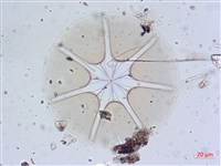 登錄號:A00004657藏品圖，第8張