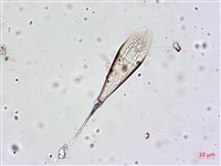登錄號:A00004657藏品圖，第14張