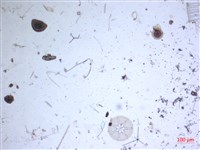 登錄號:A00004658藏品圖，第2張