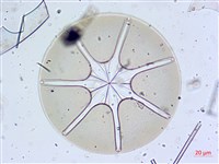 登錄號:A00004658藏品圖，第4張