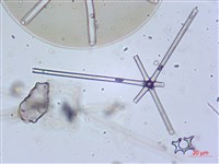 登錄號:A00004658藏品圖，第8張