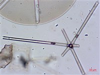 登錄號:A00004658藏品圖，第9張