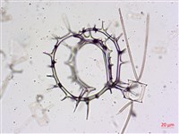 登錄號:A00004658藏品圖，第12張