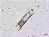 登錄號:A00004659藏品圖，第5張