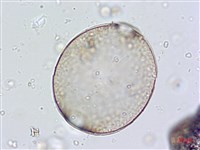 登錄號:A00004661藏品圖，第6張
