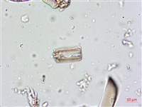 登錄號:A00004661藏品圖，第10張