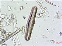 登錄號:A00004662藏品圖，第3張
