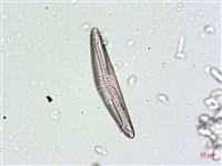 登錄號:A00004662藏品圖，第5張