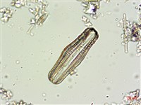 登錄號:A00004662藏品圖，第6張