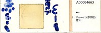 登錄號:A00004663藏品圖，第1張