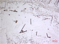 登錄號:A00004664藏品圖，第2張