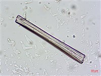 登錄號:A00004664藏品圖，第3張