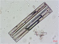 登錄號:A00004664藏品圖，第5張