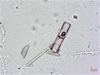 登錄號:A00004664藏品圖，第7張