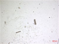 登錄號:A00004665藏品圖，第2張