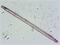 登錄號:A00004665藏品圖，第5張
