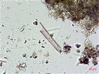 登錄號:A00004667藏品圖，第3張